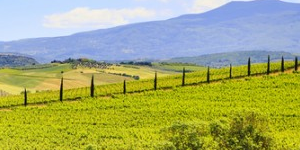 tuscany